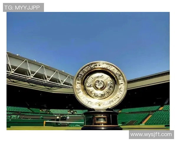 杭州网球队勇夺冠军赛桂冠的奋斗与荣耀之路