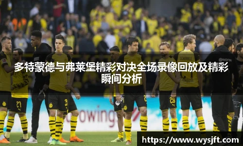 多特蒙德与弗莱堡精彩对决全场录像回放及精彩瞬间分析