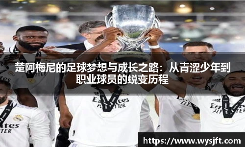 lehu乐虎国际平台